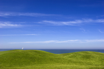 Image showing Green Meadow