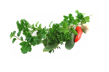 Image showing Garland Of Fresh Herbs