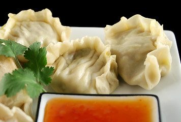 Image showing Chinese Dumplings 4