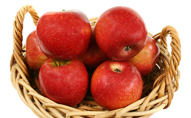 Image showing Apples