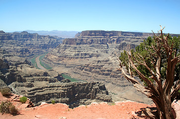 Image showing Grand Canyon West Rim