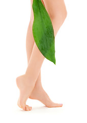 Image showing female legs with green leaf