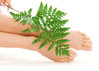 Image showing female feet with green leaf