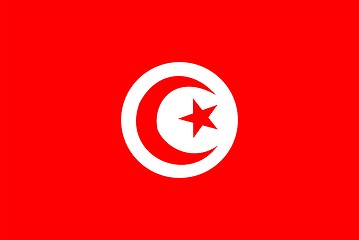 Image showing Tunisia Flag