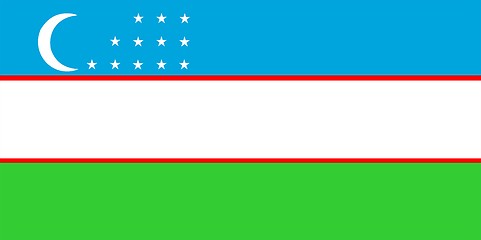 Image showing Flag Of Uzbekistan