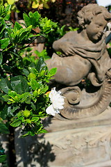 Image showing Flowers Next to a Statue