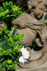 Image showing Flowers Next to a Statue