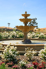 Image showing Fountain