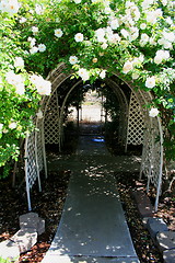 Image showing Garden Arbor