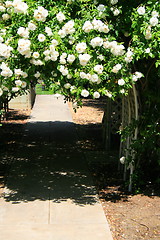 Image showing Garden Arbor