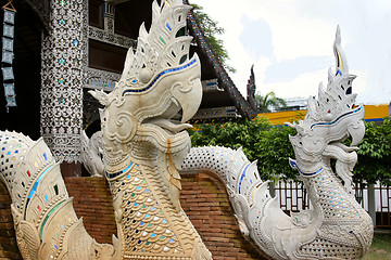 Image showing White dragon