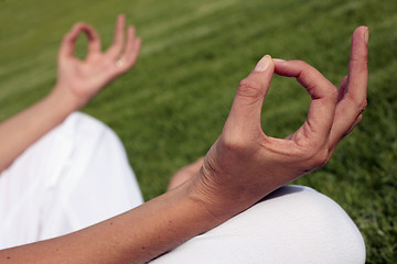 Image showing Meditation on a Lawn