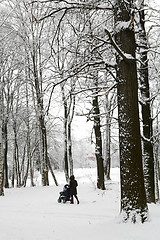 Image showing mother with child in sidercar walk in winter park