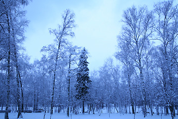 Image showing winter morning in park