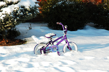 Image showing Bike in the Snow