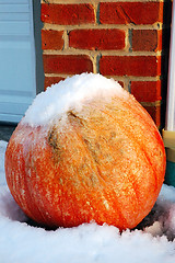 Image showing Frost on the Pumpkin