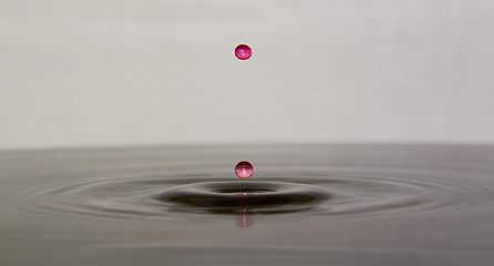 Image showing Water droplets