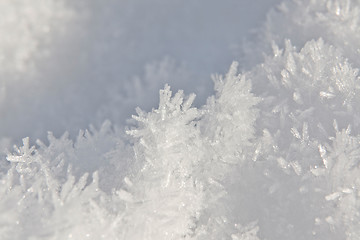 Image showing Snow Crystal