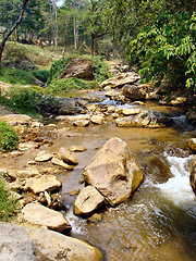 Image showing water through the flowing rocks