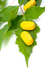 Image showing vitamin pills over green leaves