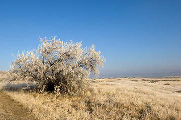 Image showing Rural Idaho