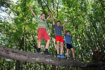 Image showing playing in the forest