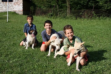 Image showing boys and dogs