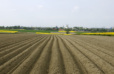 Image showing Plowed field 