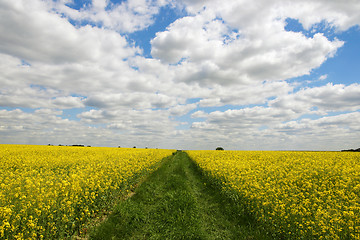 Image showing Dirty-track 