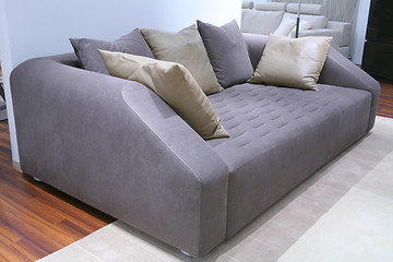 Image showing sofa with leather pillow