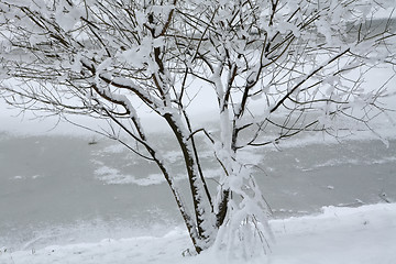 Image showing on the frozen riverside