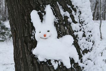 Image showing snow hare