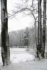 Image showing winter landscape