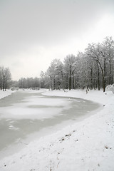 Image showing warm winter day