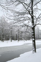 Image showing winter landscape