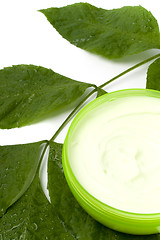 Image showing face cream with green leaf 