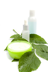 Image showing cosmetic products with green leaf