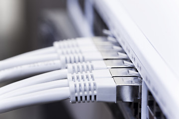 Image showing lan cables connected to a switch