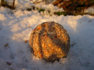 Image showing Bird seed