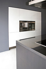 Image showing Greyscale kitchen