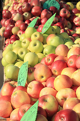 Image showing Apples