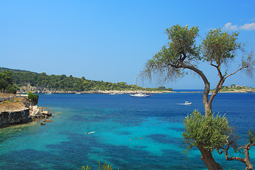 Image showing Gaios in Paxos