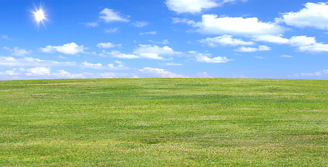 Image showing green field in the summer