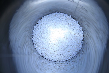 Image showing Sesaman seeds