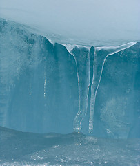 Image showing Icicles