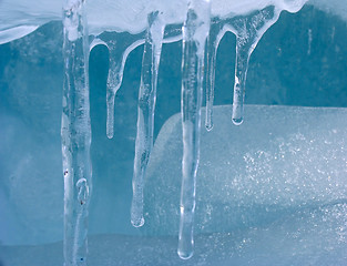 Image showing Icicles