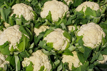 Image showing Cauliflower on market