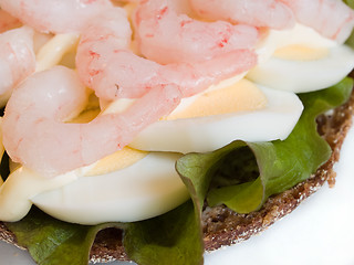 Image showing Shrimp Sandwich