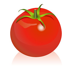 Image showing Tomato