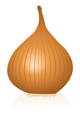 Image showing onion